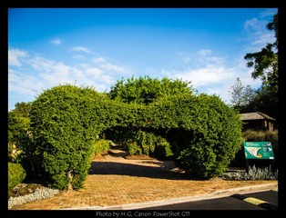Botanic_Garden_20121214_0204.jpg