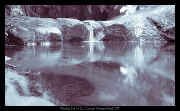 20130119_Botanic_Garden_0015.jpg