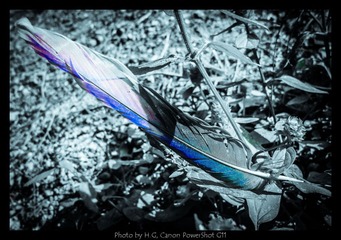 20130119_Botanic_Garden_0027.jpg