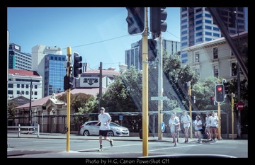 20130226_Wellington_0006.jpg