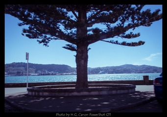 20130226_Wellington_0022.jpg