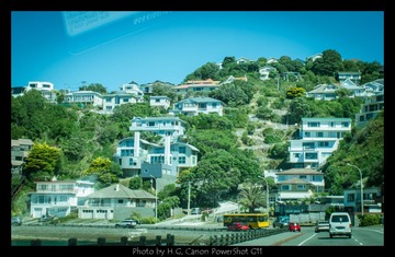 20130226_Wellington_0031.jpg