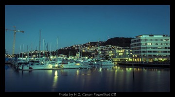 20130320_Wellington_0094.jpg