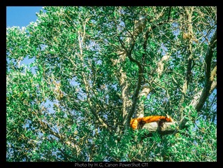 20130505_Zoo_0018.jpg