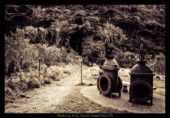 20130526_Zealandia_0011.jpg