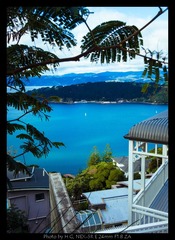 20130831_Mt_Victoria_0064.jpg