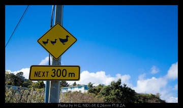 20130824_Wlg_and_Beehive_0005.jpg