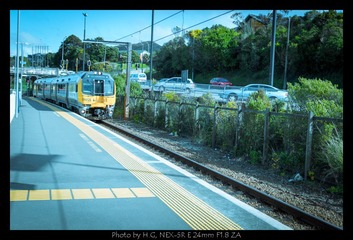20130824_Wlg_and_Beehive_0016.jpg