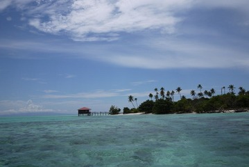 P1000723.JPG