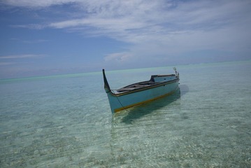 P1000764.JPG