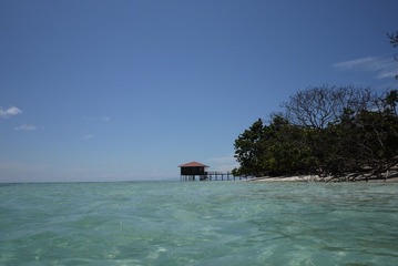 P1000797.JPG