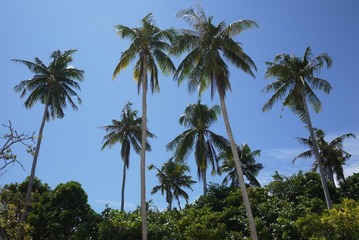 P1000789.JPG