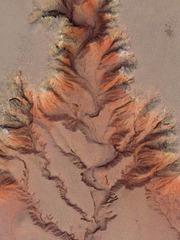1312D965-B71C-41D2-9712-C9530B0E1530/L0/001
