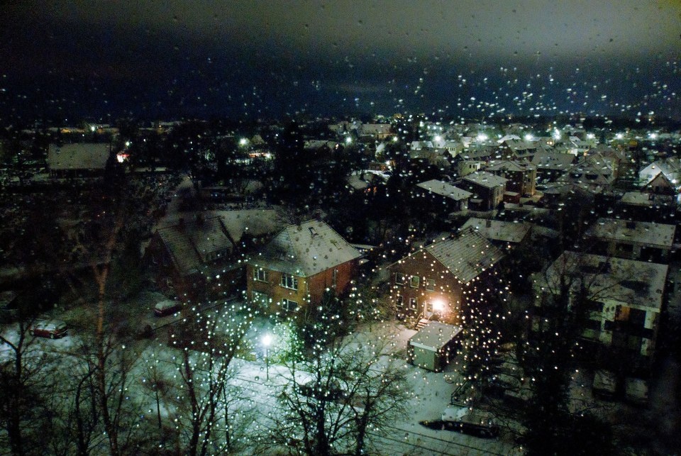 第一场雪 - nurmich - 图虫