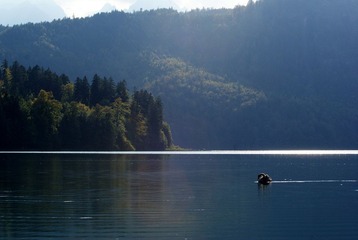 DSC08765.JPG