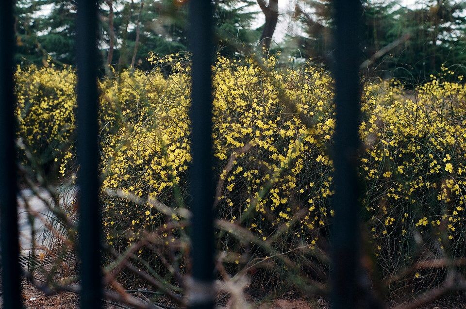 frame16-18<br />