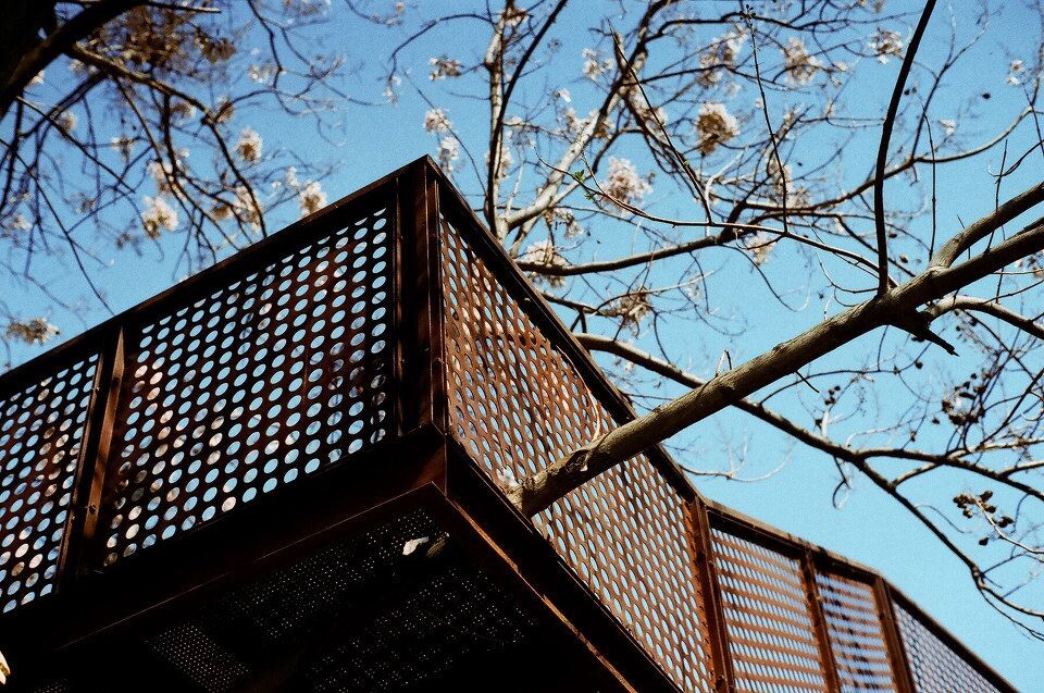 frame19-30<br />
