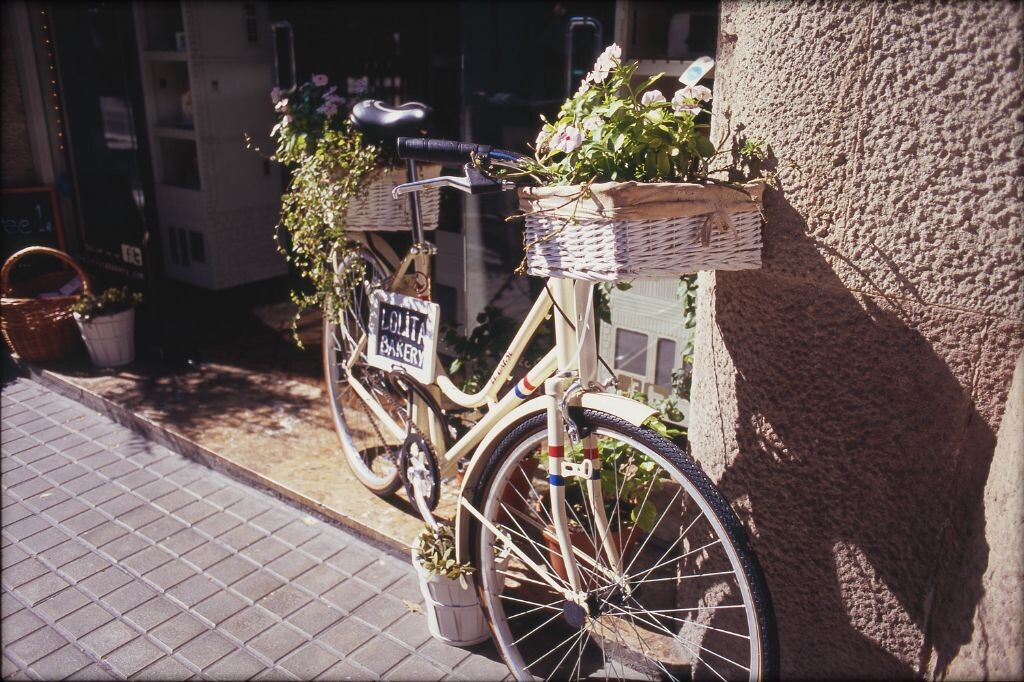 03 Fujichrome RVP 100F -15.jpg