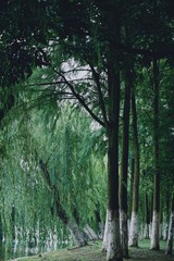FA607499-8E77-401A-8FC1-7819E40BE4B0/L0/001