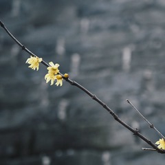 0D783F2F-479D-4311-9AD3-1866BBCE4F17/L0/001