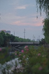 6FF5DB3B-4A19-45E8-8147-A328F147427A/L0/001
