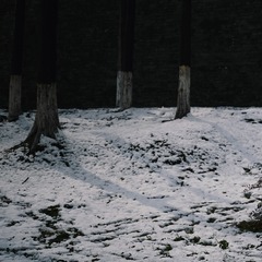 CEE0308E-23B0-4D62-B541-E3053F100F41/L0/001