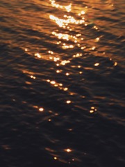 46A8A336-3C3C-4A16-B91F-23FBC31A658D/L0/001