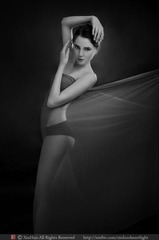 _DSC3514@ copy1.jpg