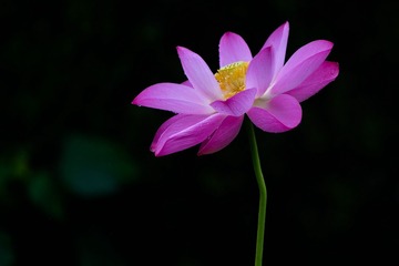 556903