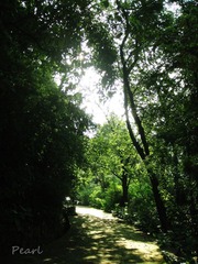 DSC01164_副本2.jpg