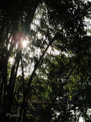 DSC01179_副本.jpg