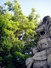 DSC01148_副本.jpg
