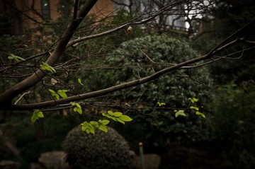 DSC_3762-2.jpg