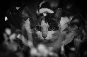DSC_4314.jpg