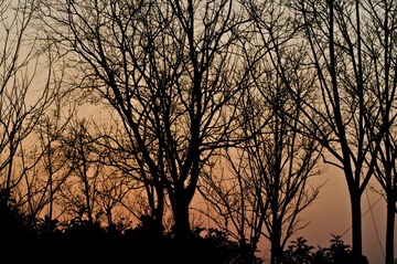 DSC_7262.jpg