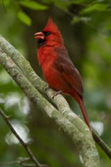 DSC_7677.jpg