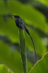 DSC_7755.jpg