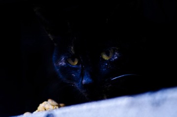 DSC_8959.jpg
