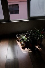 DSC_8643.jpg