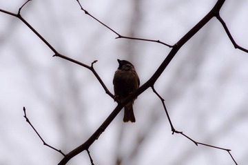 DSC_8907.jpg