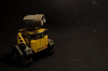 DSC_0100.jpg