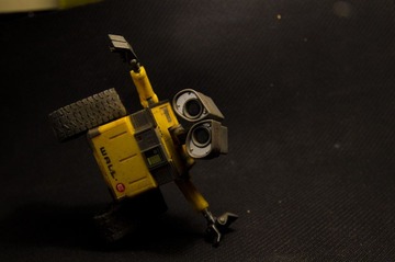 DSC_0102.jpg