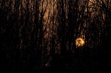 DSC_1015.jpg