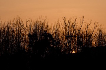 DSC_1023.jpg