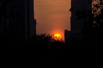 DSC_1782.jpg