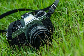 DSC_5566.jpg
