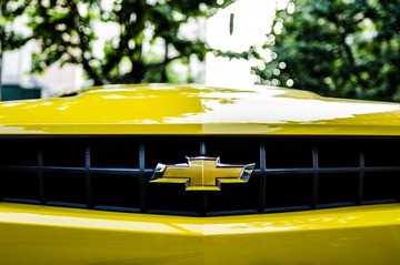 DSC_7023.jpg