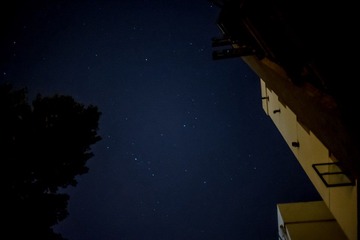 DSC_0317.jpg