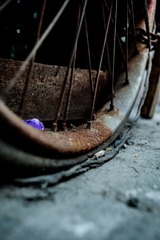 DSC_2267 (2).jpg