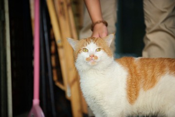 DSC_2510.jpg